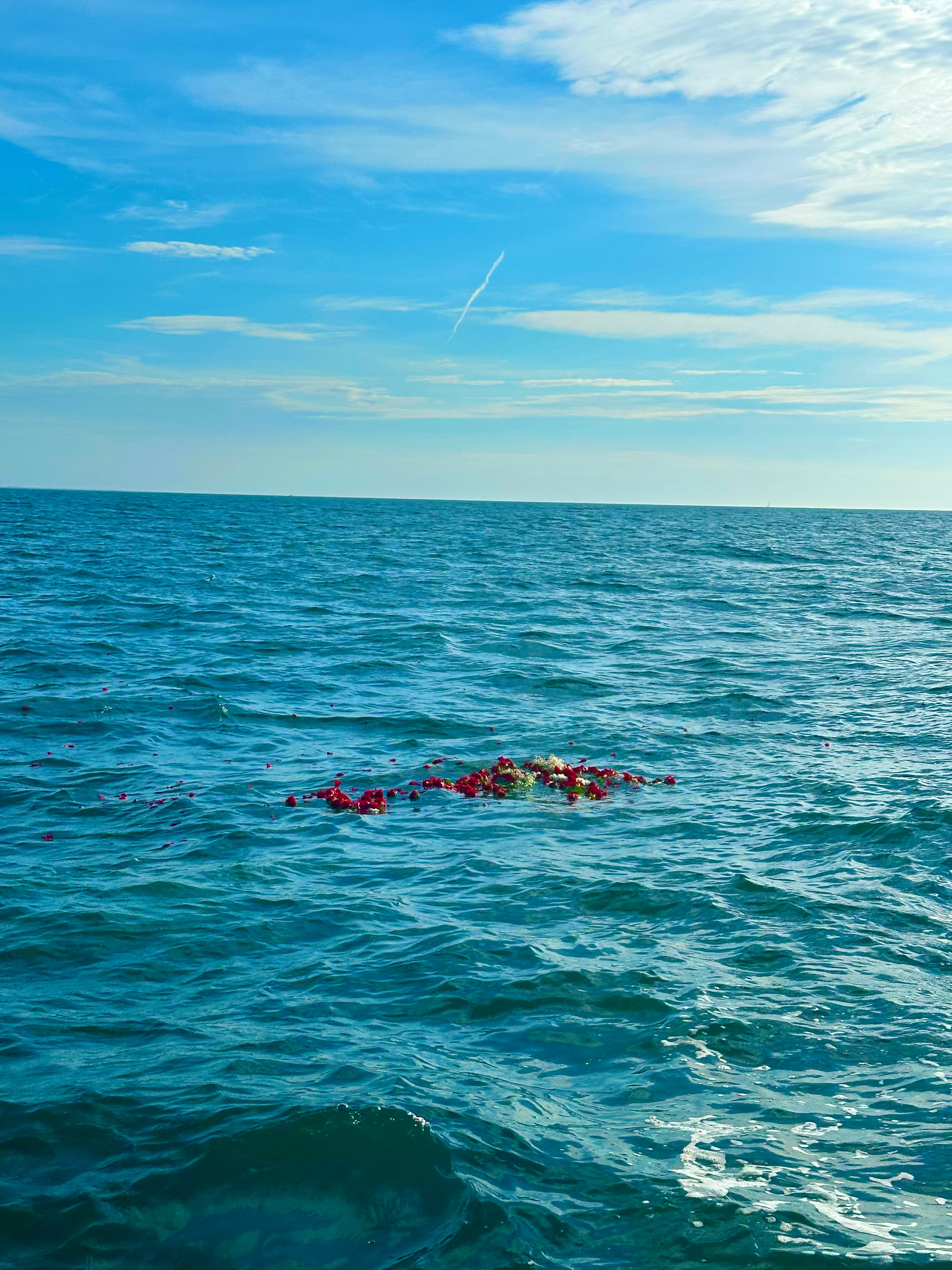 Flowers floating peacefully on the deep blue ocean after a scattering ceremony